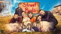 ATV-STREET-BIRDS-1.jpg