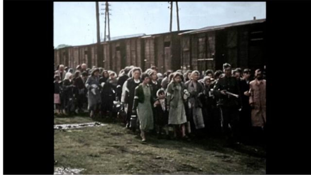 Auschwitz-Untold.jpg