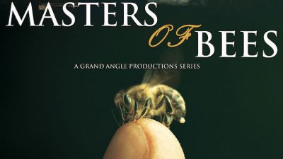 Masters-of-Bees.jpg