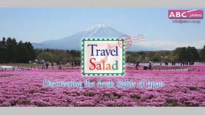 Travel-Salad_main.jpg